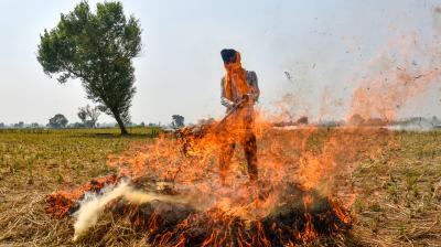 पंजाब में 49 पराली जलाने की घटनाएं दर्ज, 10 मामलों में लगाया गया 50