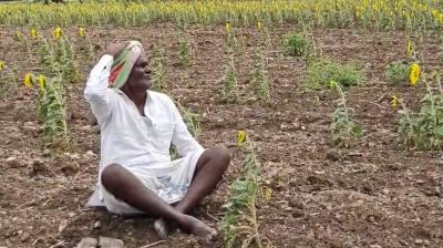 विजयनगर जिले में सूखे का जायजा लेने जाएंगी केंद्रीय टीम, फसल नुकसान