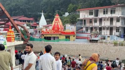 उत्तराखंड: कैंचीधाम क्षेत्र से लगभग गायब हुई गौरैया, पक्षियों के