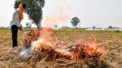 पंजाब में पराली जलाने के 404 मामले दर्ज, अमृतसर और तरनतारन में सबसे