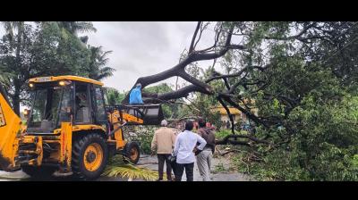आंध्र प्रदेश में चक्रवात ‘अर्नब’ का असर: कोनासीमा जिला कलेक्टर ने