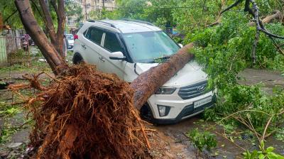 चक्रवात 'अर्नब' से आंध्र प्रदेश में सात मौतें, 4,600 करोड़ रुपए के