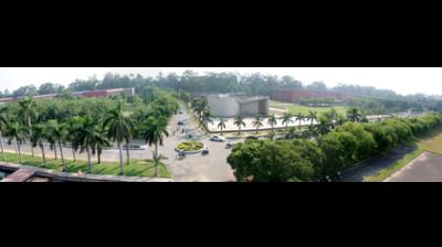 कैंपस बर्ड सर्वे : 104 तरह के पक्षियों का घर है पंजाब यूनिवर्सिटी