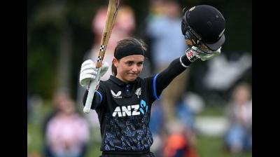 न्यूजीलैंड ने 4-1 से जीती सीरीज, 5वें टी20 में दक्षिण अफ्रीका को 92 रन से हराया