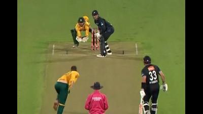 दक्षिण अफ्रीका ने जीती टी20 सीरीज, पांचवें मैच में न्यूजीलैंड को 33 रन से हराया