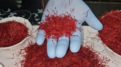 जम्मू-कश्मीर के सात उत्पादों को मिला जीआई टैग