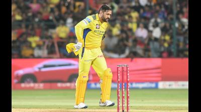 एमएस धोनी पूरे आईपीएल करियर में सिर्फ 5 मैच इंजरी की वजह से नहीं खेल पाए हैं