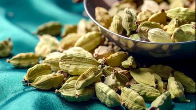 गर्मियों में वरदान से कम नहीं इलायची, गले की खराश से लेकर मुंह के छाले तक में दे राहत