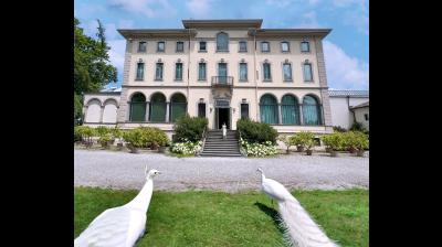 इटली के म्यूजियम से तीन पेंटिग्स चोरी, महज तीन मिनट में शातिर कर गए काम