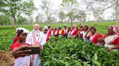 डिब्रूगढ़ के एक चाय बागान में बोले मोदी- 'मैं भी चाय वाला हूं', आपकी मेहनत मेरे गांव तक पहुंची