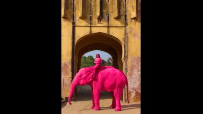 पेटा इंडिया का रूसी कलाकार को फरमान, चंचल हाथी का प्रिंट हटाओ या सभी आय दान करो