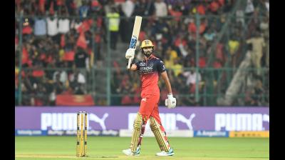 आईपीएल 2026: पडिक्कल-डेविड ने खेली धमाकेदार पारी, आरसीबी ने 3 विकेट खोकर बनाए 250 रन