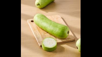 कम कैलोरी से लेकर दिल और पाचन तक, जानिए कैसे शरीर को अंदर से मजबूत बनाती है लौकी