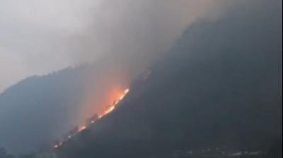 अरुणाचल प्रदेश और नागालैंड में जंगल की आग बुझाने के लिए युद्धस्तर पर काम, सेना और वायुसेना ऑपरेशन में जुटीं