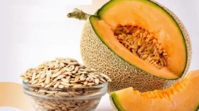 ‘खरबूजे के बीज’ : पोषक तत्वों से भरपूर सुपरफूड, इम्युनिटी बूस्ट तो ब्लड प्रेशर को करे कंट्रोल