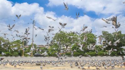 एनसीआर में 13-14 अप्रैल को तेज हवाओं का अलर्ट, तापमान में जल्द होगी बढ़ोतरी, एक्यूआई येलो जोन में