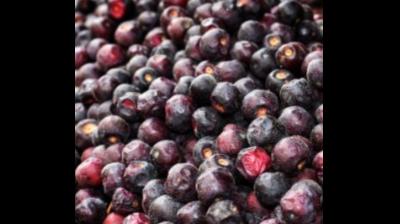 गर्मियों में शरीर को देता है ठंडक, कमजोरी दूर करता है ये खट्टा-मीठा नेचुरल एनर्जी बूस्टर फल