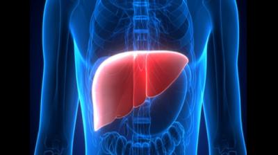 स्वस्थ लिवर के लिए अपनाएं आयुर्वेदिक डाइट और माइंडफुल ईटिंग: आयुष मंत्रालय