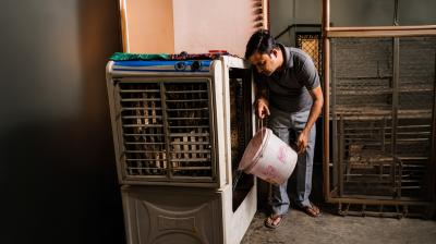 कूलर के पानी में डालें ये छोटी सी चीज, बदबू और मच्छरों से मिलेगी राहत