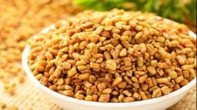 गर्मियों में करते हैं मेथी दाने का सेवन, जानें क्या कहता है आयुर्वेद