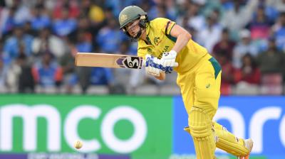 एलिस पेरी ने रचा इतिहास, 350 अंतरराष्ट्रीय मैच खेलने वाली ऑस्ट्रेलिया की पहली महिला खिलाड़ी बनीं