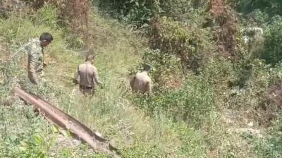 उत्तराखंड: पौड़ी गढ़वाल में दर्दनाक हादसा, शादी से लौट रही इको कार खाई में गिरी; महिला की मौत