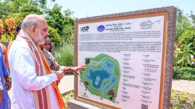 बंगाल सरकार ने बाड़ लगाने के लिए 7 दिनों में बीएसएफ को 600 हेक्टेयर जमीन सौंपी: अमित शाह