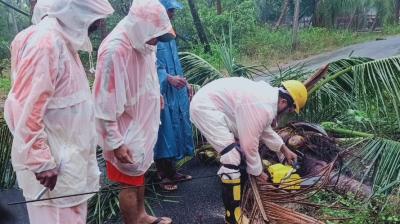 आंध्र प्रदेश: बारिश और तेज हवाओं ने मचाया कहर, चार की मौत