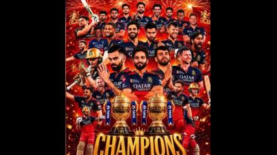 आरसीबी की जीत पर बॉलीवुड से लेकर साउथ स्टार्स हुए क्रेजी, सोशल मीडिया पर लगा बधाईयों का तांता