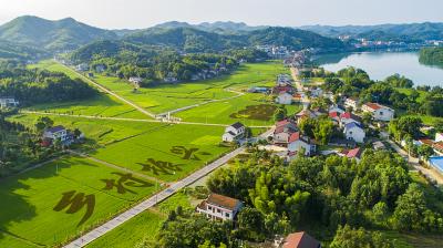 सीजीटीएन सर्वे : 90 प्रतिशत से अधिक लोगों ने वैश्विक गरीबी उन्मूलन में चीन की महत्वपूर्ण भूमिका को स्वीकारा