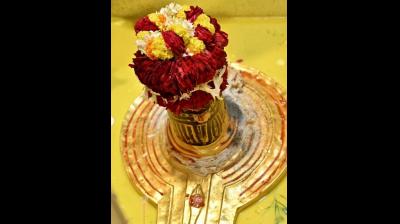 रंगभरी एकादशी पर सर्वार्थ सिद्धि और रवि योग, नोट कर लें भद्रा और राहुकाल