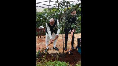 प्रधानमंत्री मोदी ने 'याद वाशेम' में होलोकॉस्ट पीड़ितों को दी श्रद्धांजलि, राष्ट्रपति हर्जोग संग लगाया 'एक पेड़ मां के नाम'