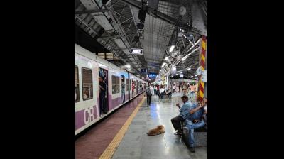 नीट की दोबारा परीक्षा के लिए मुंबई में नियमित चलेंगी ट्रेनें, स्टेशनों पर बनाए गए हेल्प डेस्क
