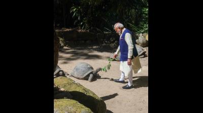 सेशेल्स बोटैनिकल गार्डन में पीएम मोदी ने दुनिया के सबसे बुजुर्ग कछुए जोनाथन को खिलाया खाना, राष्‍ट्रपत‍ि संग लगाया पौधा