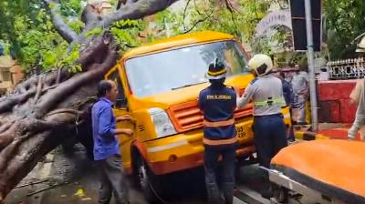 मुंबई: चेंबूर इलाके में स्कूल बस पर पेड़ गिरने से छात्र की मौत, चार बच्चे घायल